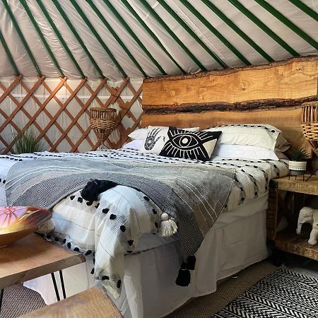 O Dan Y Coed Luxury Yurt With Hot Tub Hotel Chwilog Exterior foto